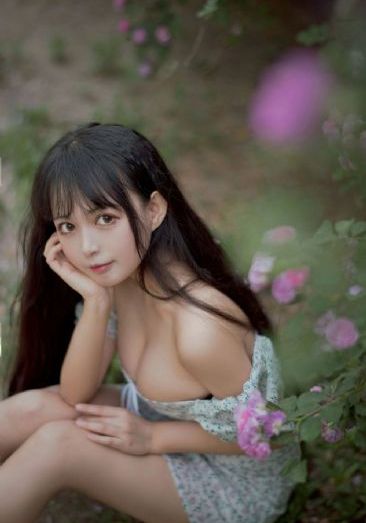 大秦赋在线观看免费南瓜