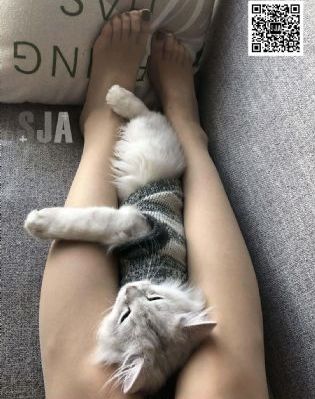我们都要好好的 电视剧