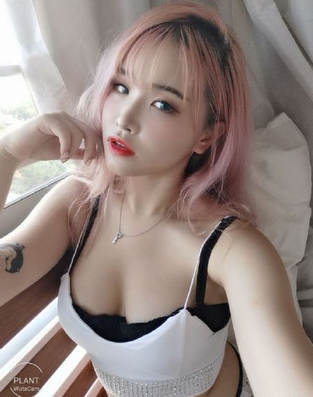 绿野电视剧在线全集