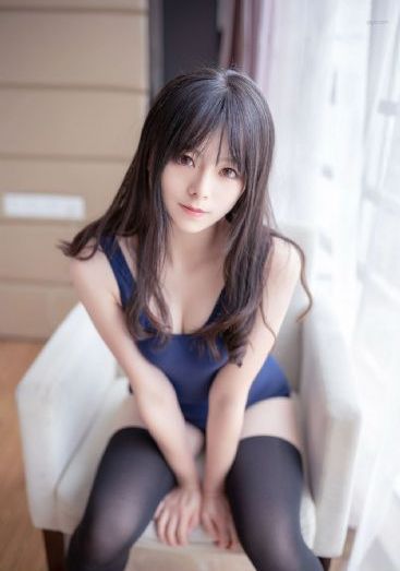 拉布拉多警长