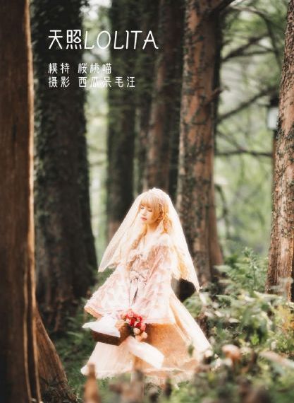 如意芳华