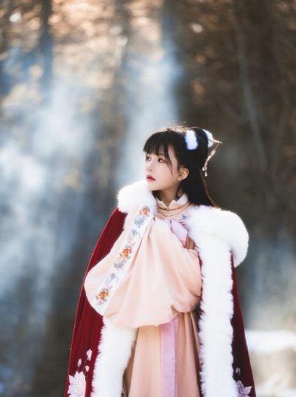 年轻的少妇a级伦理电子书