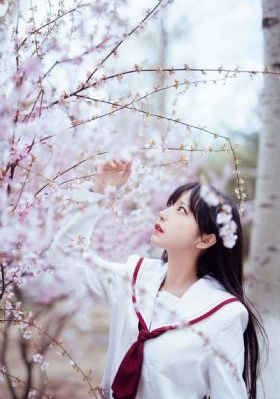 星辰视频电影高清在线观看